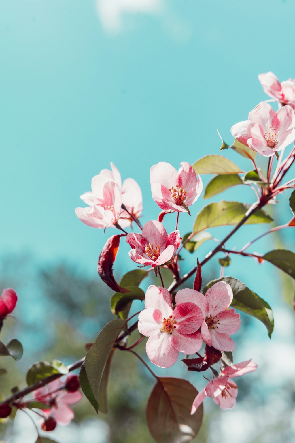 SA May 2026&nbsp;Newsletter